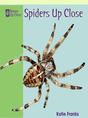cover image of Spiders Up Close